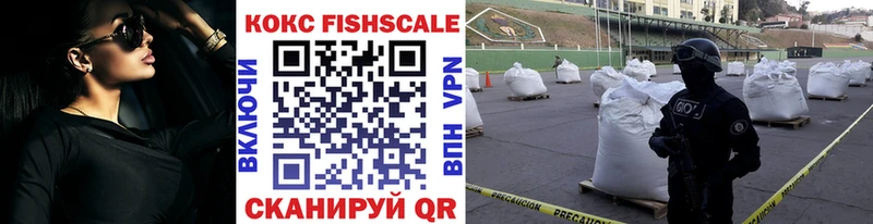 Купить закладки  Унеча  Cocaine FishScale 
